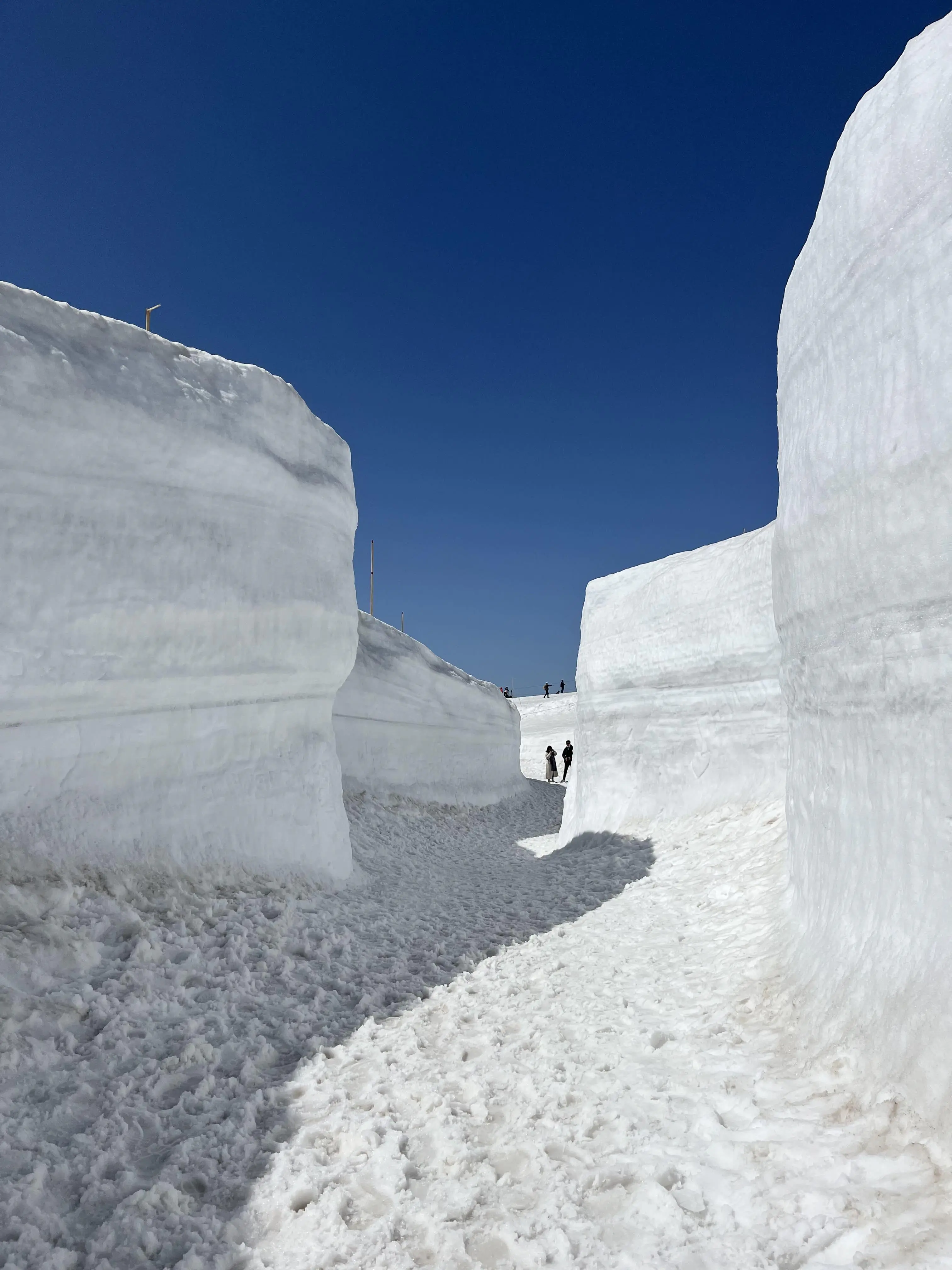 富山 雪 の 壁
