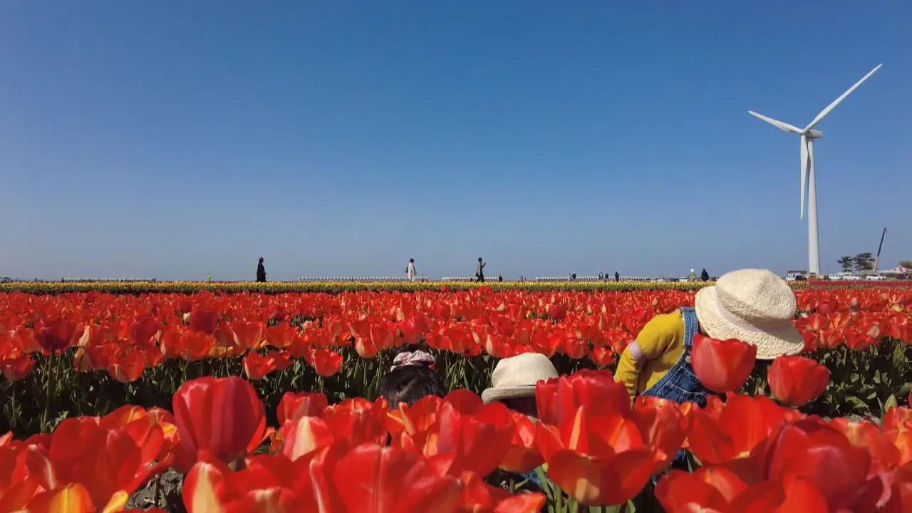2023年4月撮影