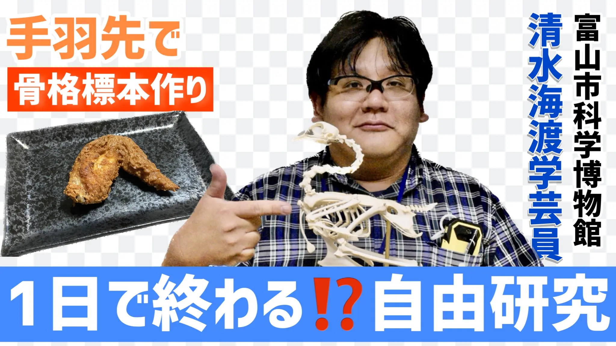 小学生向け【1日で終わるかもしれない自由研究】手羽先を食べて骨格標本を作ろう！やり方や観察のポイントを富山市科学博物館の学芸員が伝授！