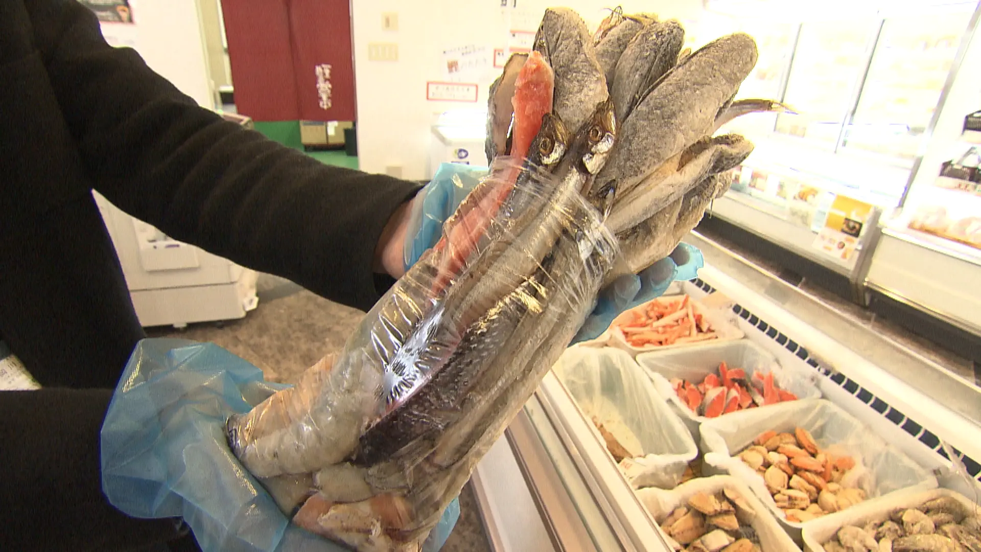 ホタテ・サケ…【冷凍魚ぎっしり詰め放題】の太っ腹スポット｜暮らし 