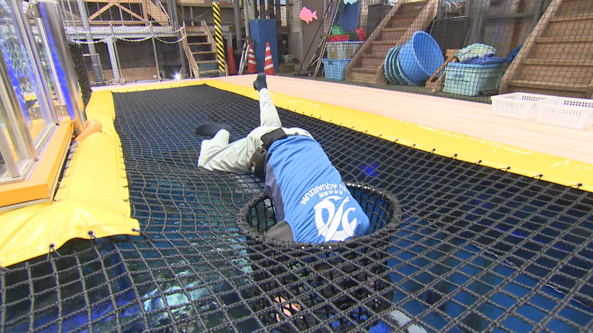 日本でここだけ？水族館の大きな水槽を上からのぞこう【魚津水族館】バックヤードのネット遊具