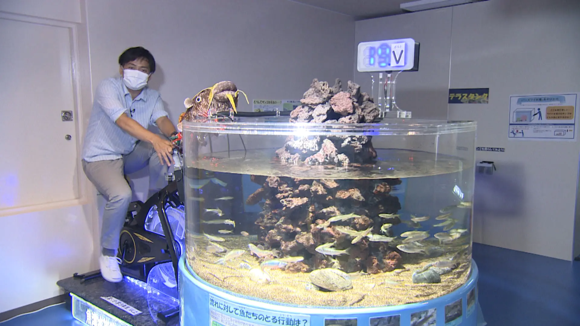 日本でここだけ？水族館の大きな水槽を上からのぞこう【魚津水族館