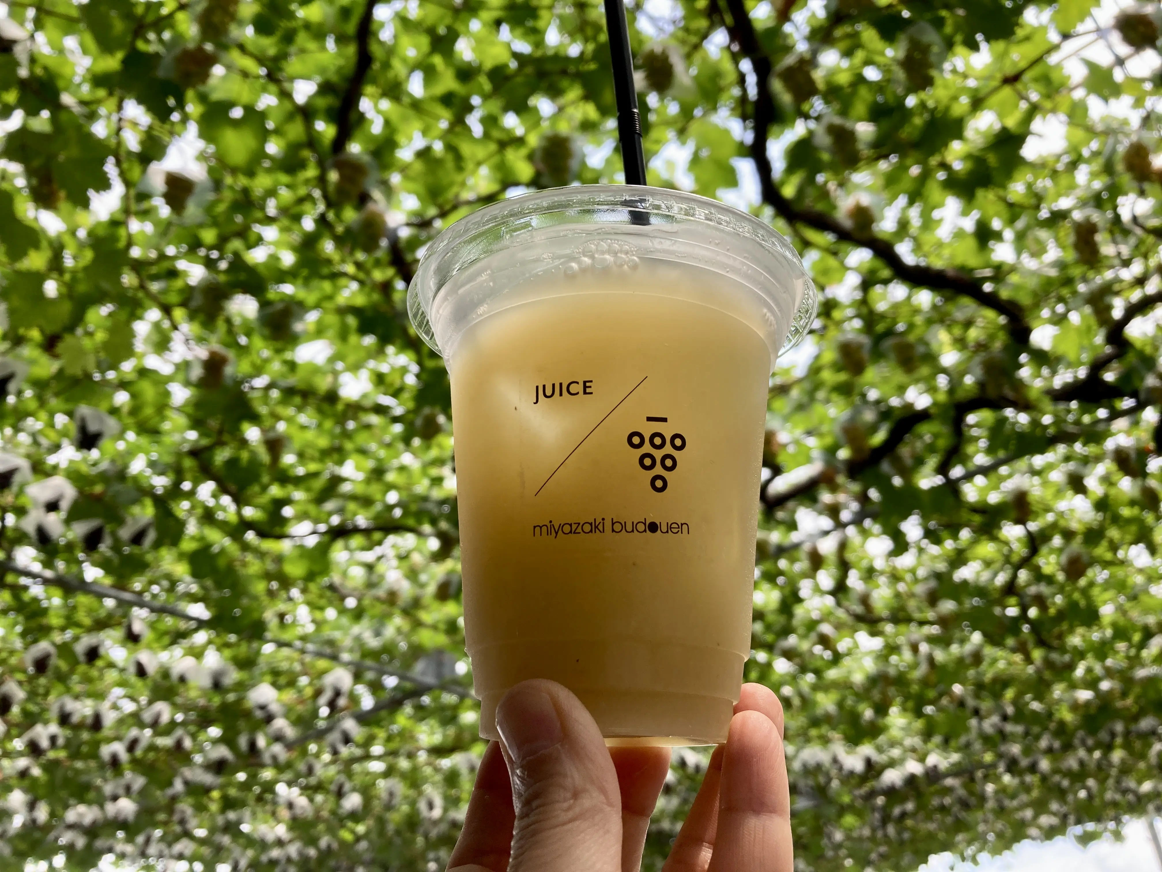 無添加100%ぶどうジュース飲み比べ4本セット 摘みたて無添加・無加糖のぶどう100％ジュースを飲み比べ！富山の【宮