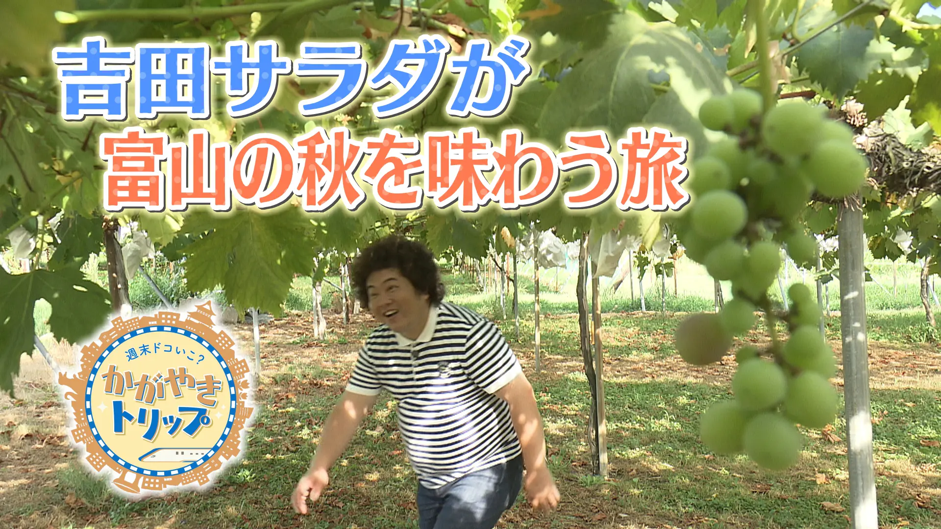 YouTubeで動画もチェック！！