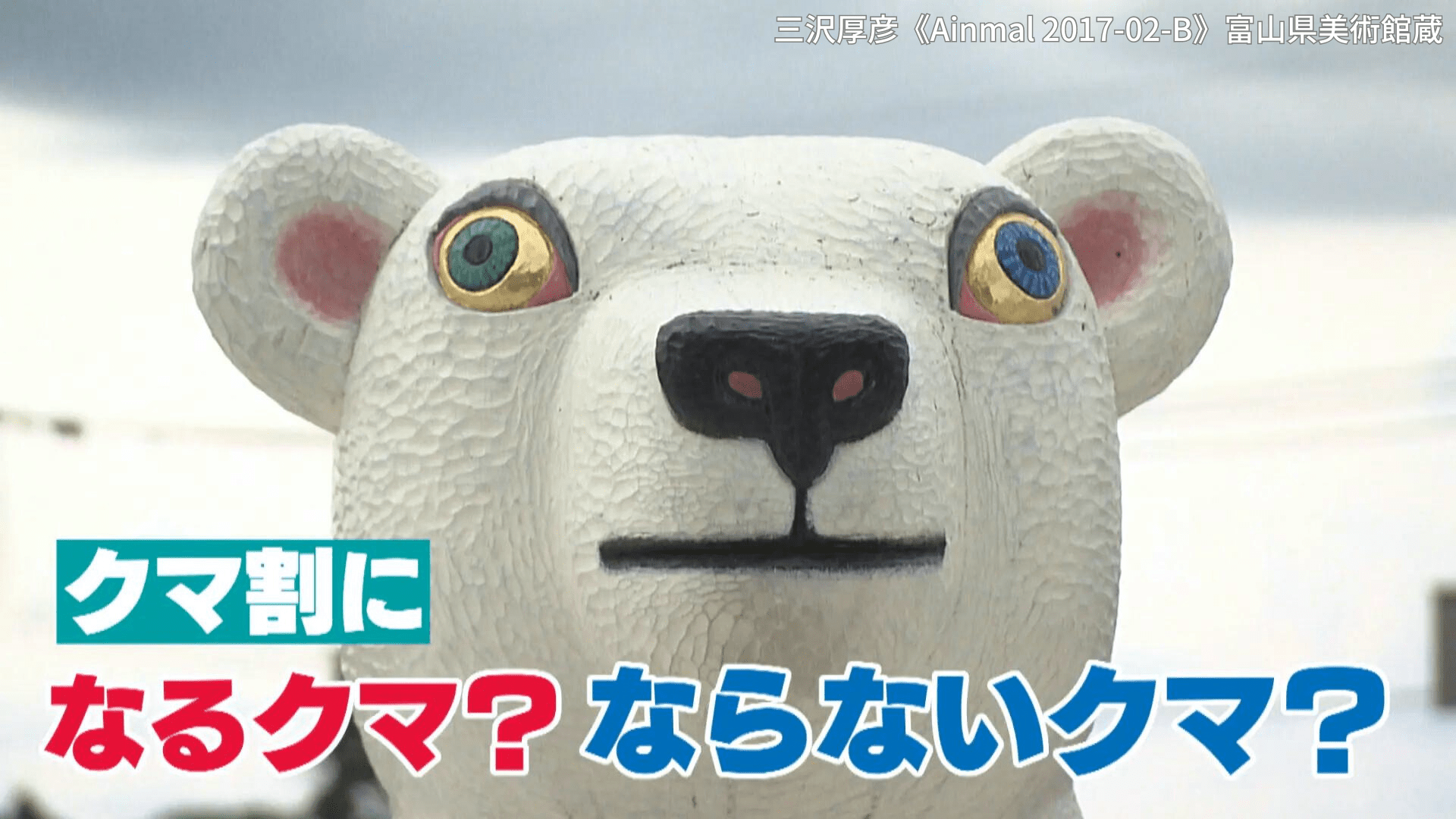 クマ」を見せると割引に!! 【富山県美術館のおトクなクマ割】いったい 