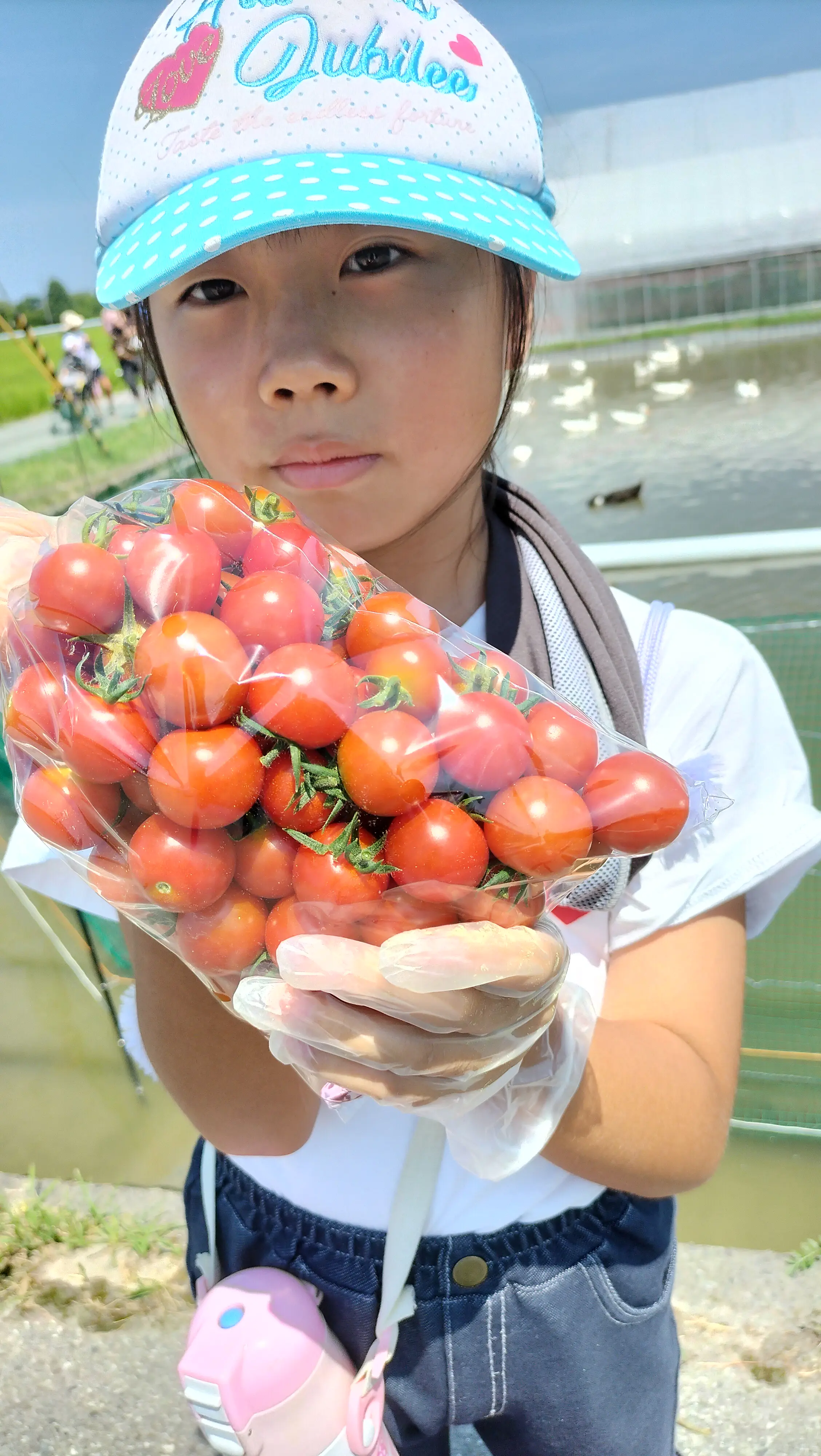あーちゃん
トマトがたくさんとれて　うれしかった。

