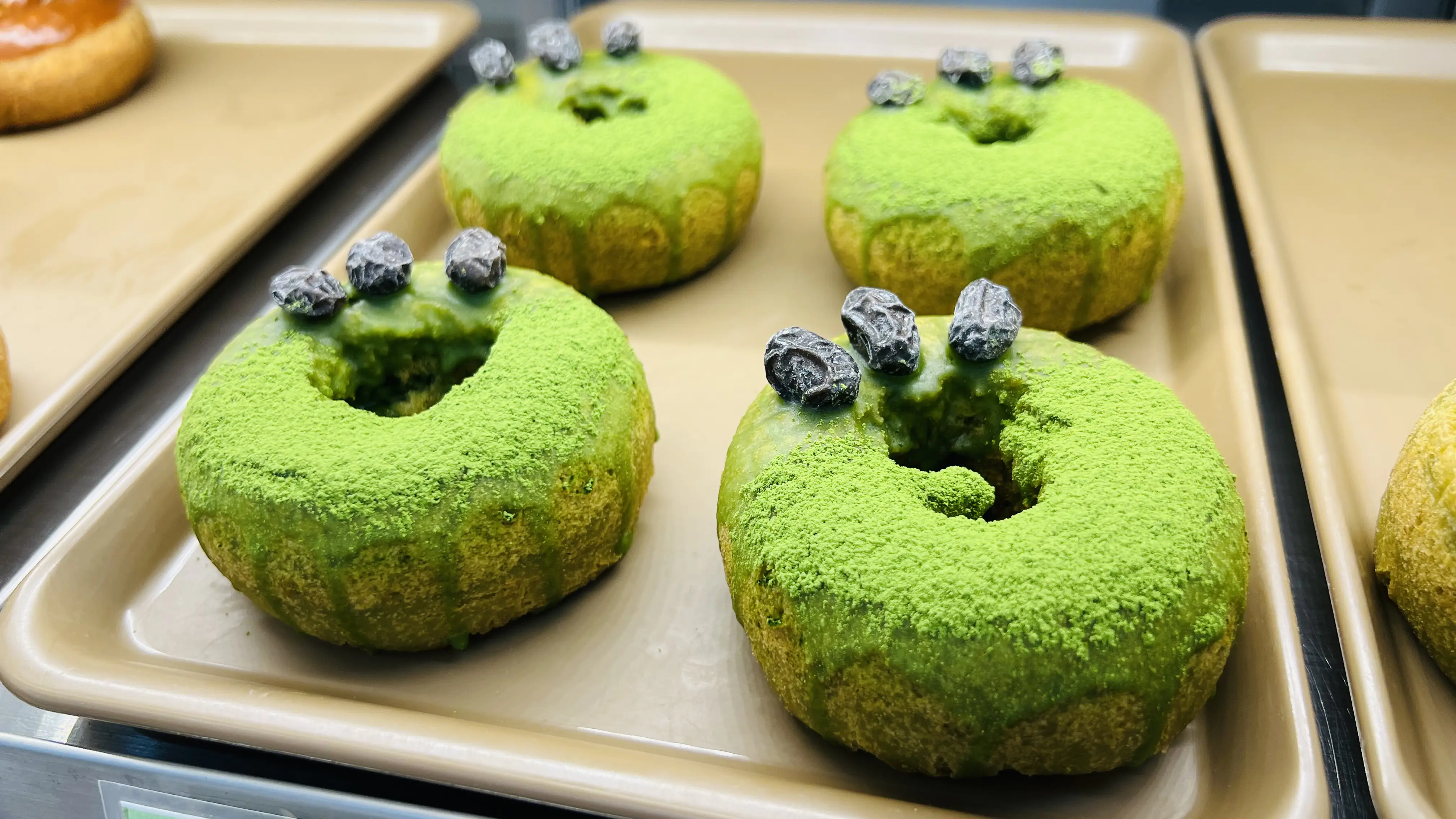 雑誌や本を片手にサイフォン式コーヒーとドーナツ！富山県高岡の書店