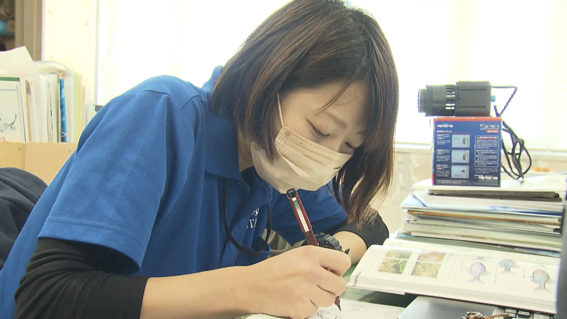ペンギン・淡水魚担当 斉藤真理さん
