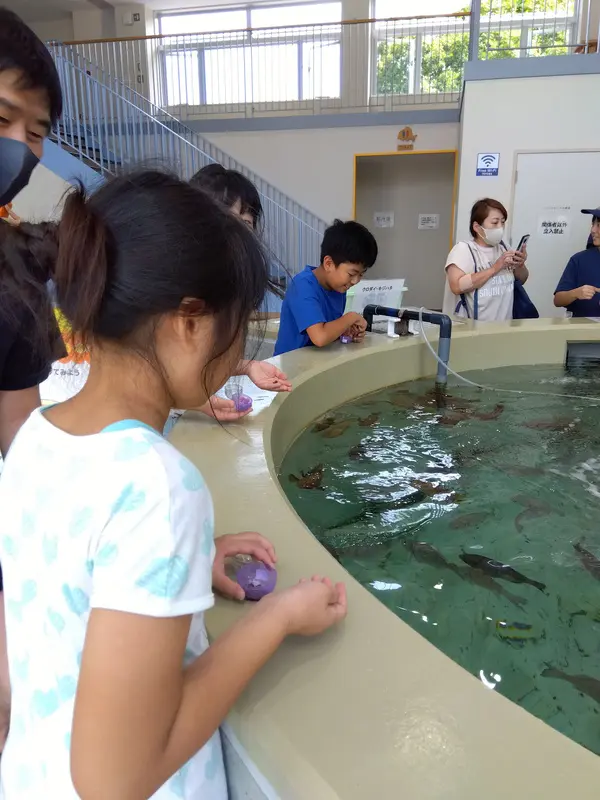 ゆな
魚の特徴をたくさん知ることができました。
3種類の魚にえさをやれて、楽しかったです。