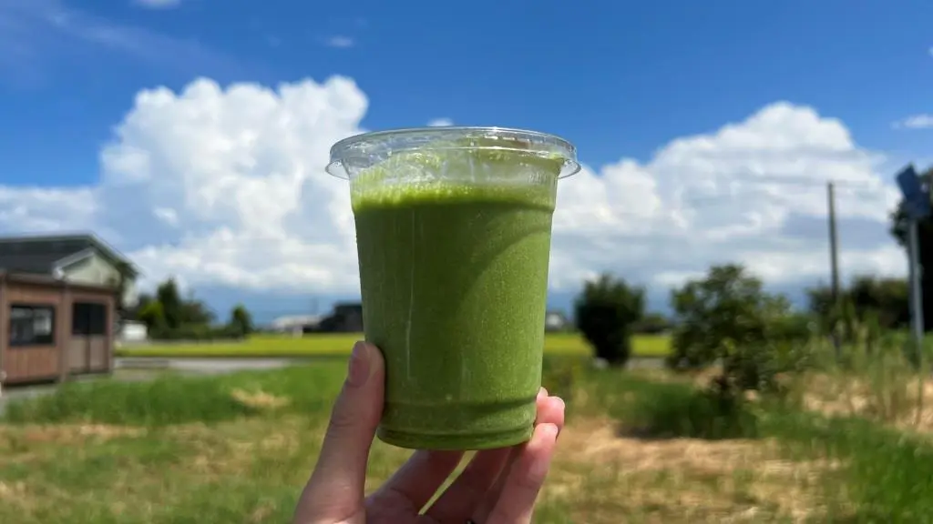 野菜の栄養を手軽にたっぷりと！富山素材のグリーンスムージー