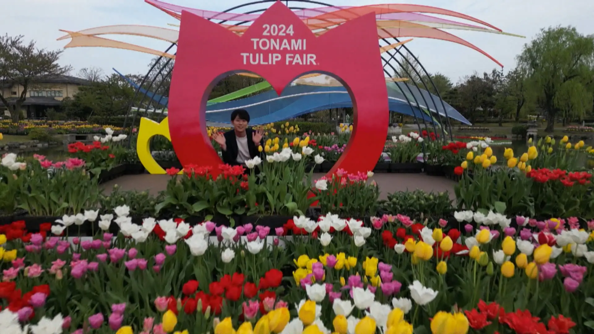 2024となみチューリップフェア】チューリップ四季彩館 館長に聞いた