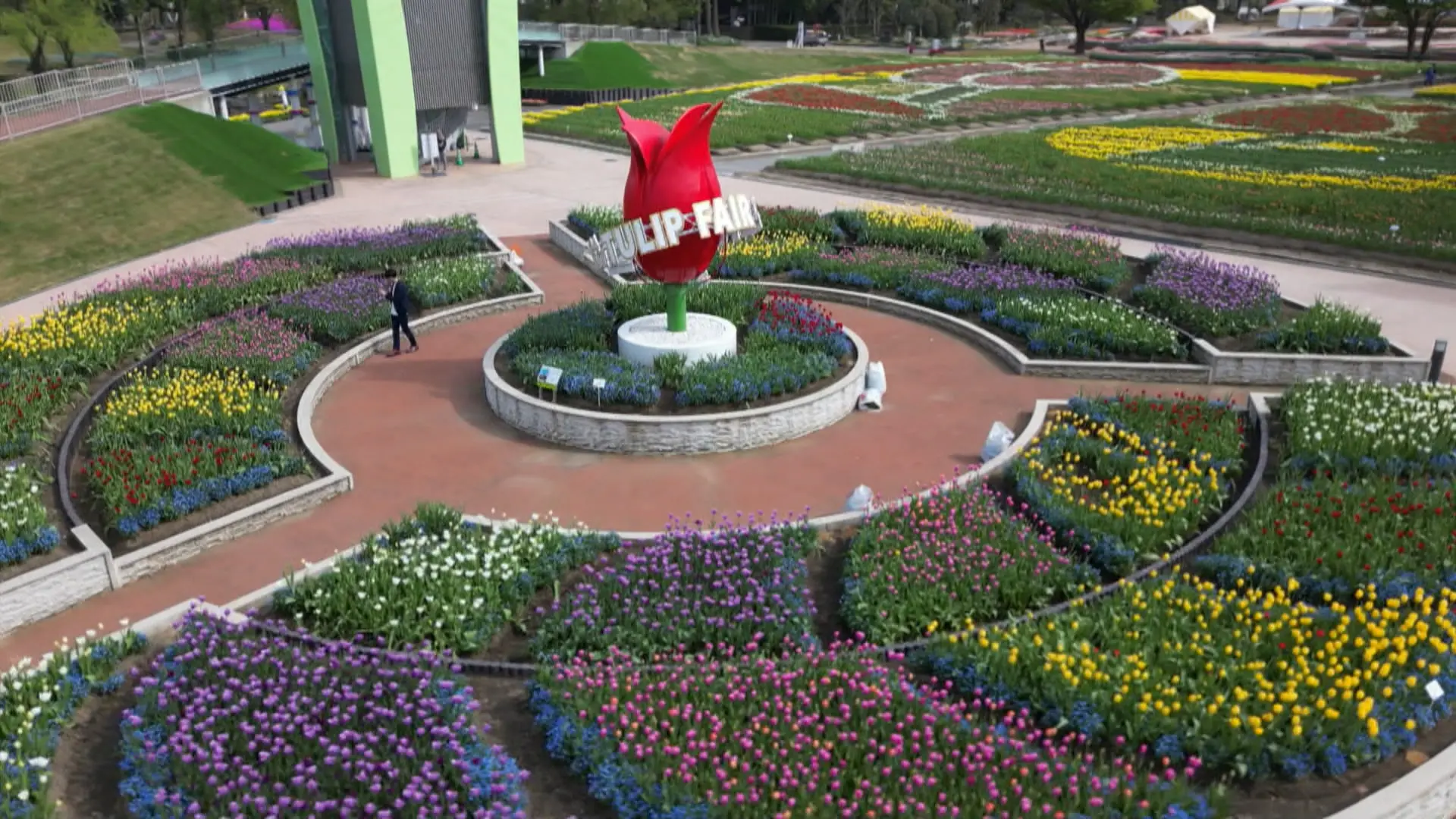 2024となみチューリップフェア】チューリップ四季彩館 館長に聞いた