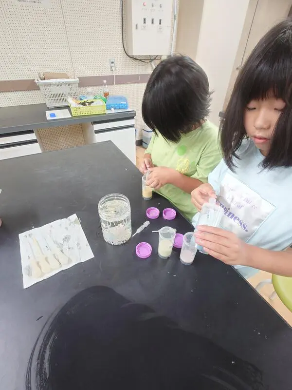 ゆあ
いろいろなスライムが作れて楽しかったです。
ありがとうございました。