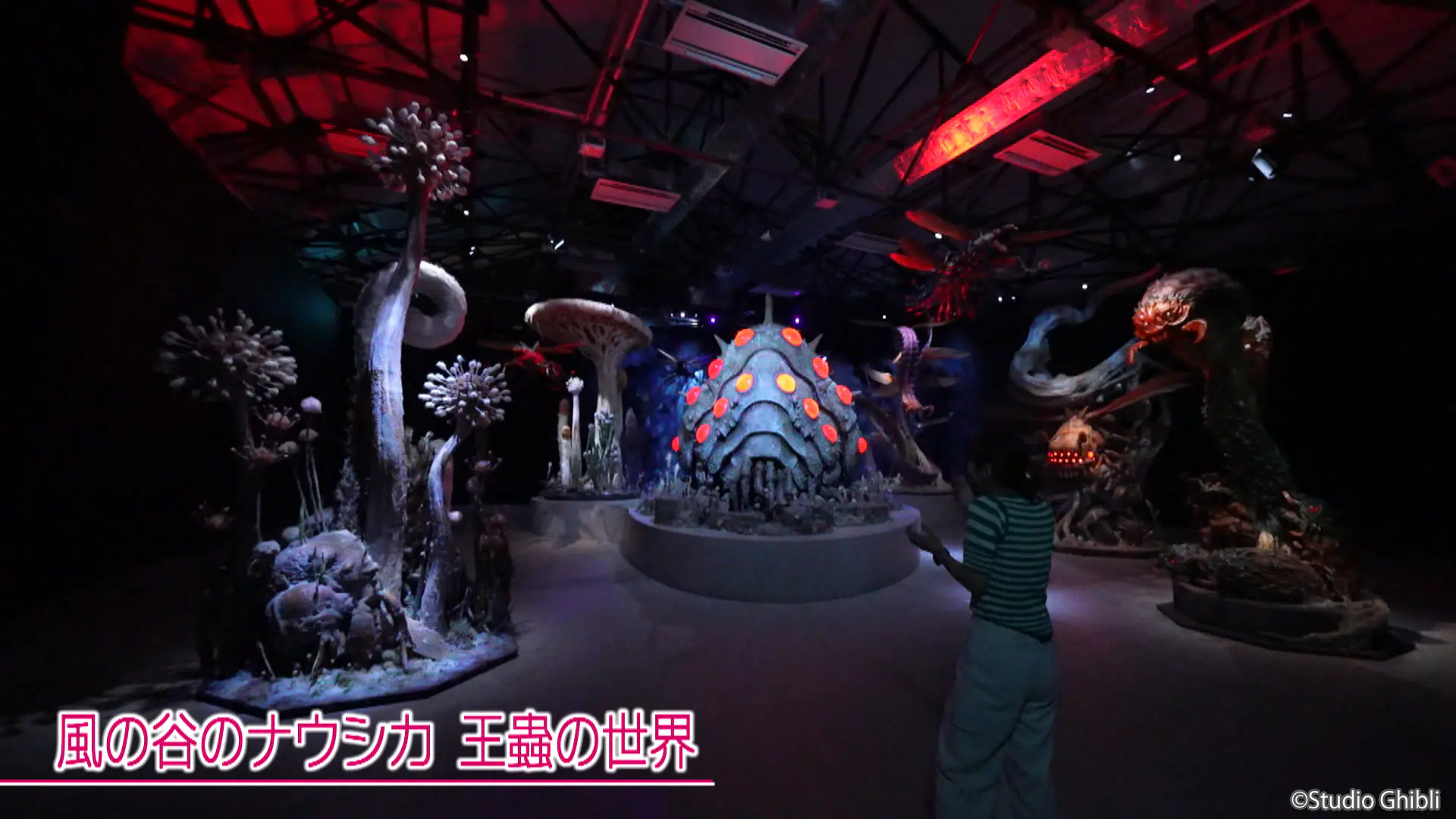 新しいジブリ体験を先取りリポート【金曜ロードショーとジブリ展