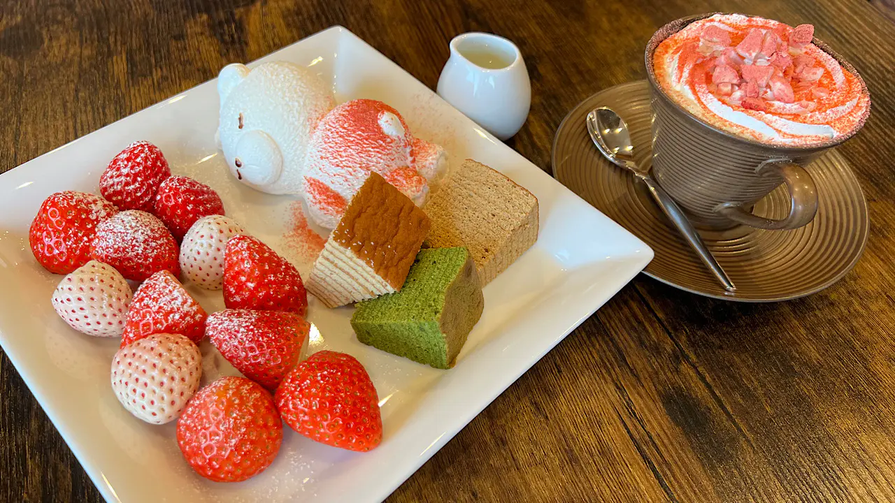 ここねセット（ドリンク付）1500円（税込）