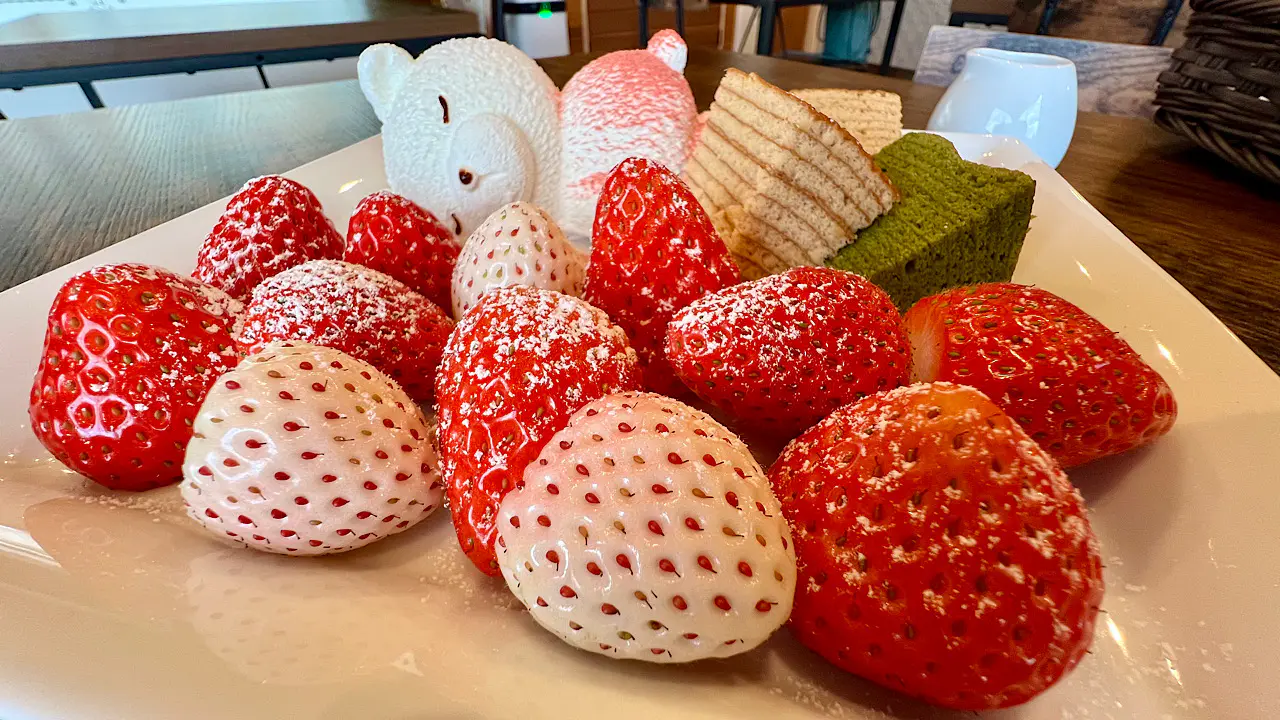 高級白いちごも！朝採れ完熟いちごのスイーツが食べられる農園直営