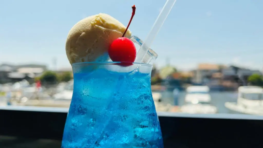 クリームソーダがレトロかわいい運河沿いのカフェ【termini】富山