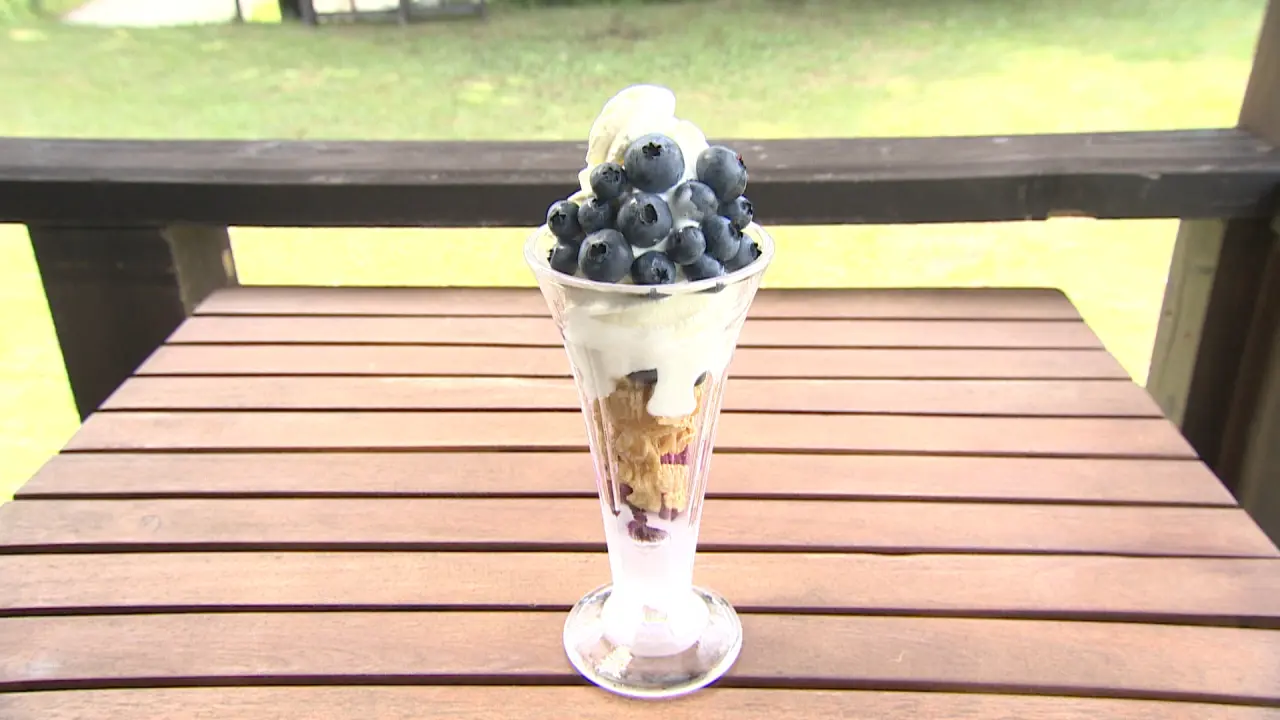 ブルーベリーパフェ　950円（税込）