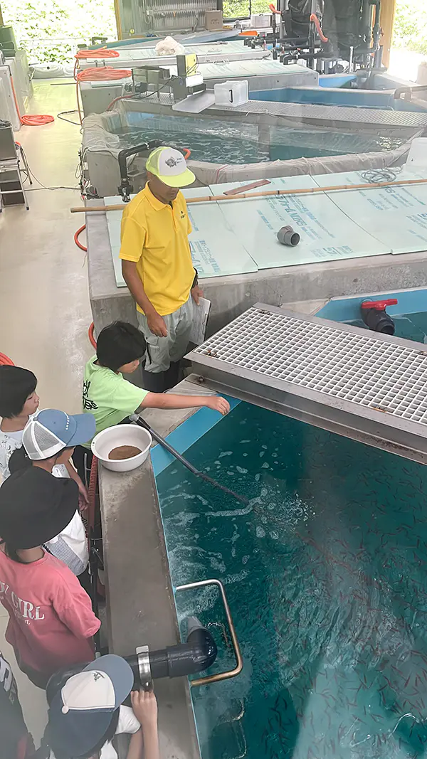 ゆうな
クロダイの水槽の掃除が難しかったです。掃除機
みたいな、掃除用具が水を吸って重かったです。また、餌の分別が難しかったです。でも魚たちに餌やりが出来てとても楽しかったです。
