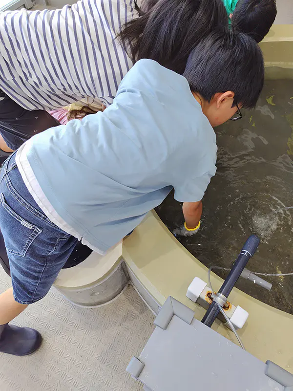 ゆうた
海の資源が減って困っているのを
栽培漁業という形で解決しようとしているのは、すごいなと思いました。
