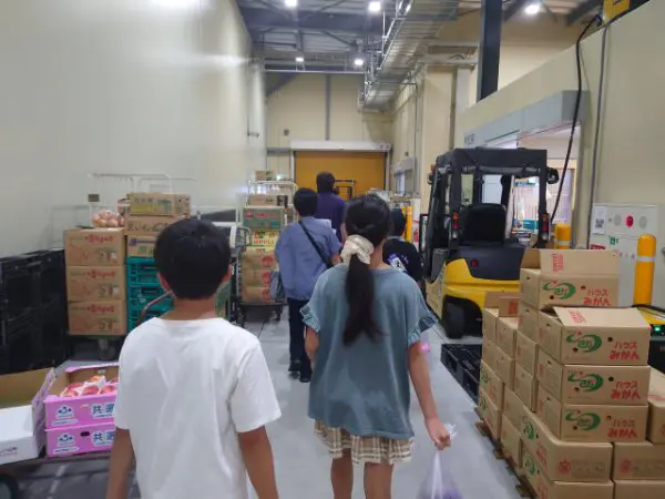 ちゃくら
市場は朝早くからにぎわっていて驚きました。せりのスピード感がすごかったです。おいしい果物の見分け方が分かったので、スーパーで試してみようと思います！