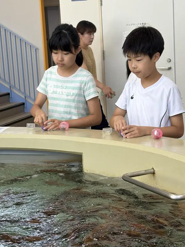 時刻表マニア
栽培漁業センターでは、魚のエサをカプセルに詰めたり、餌やり体験をしました。魚を飼育して放流する役割のほかに、お客さんに魚のことを知ってもらうための展示や、魚と触れ合う体験コーナーがあることが分かりました。魚と触れ合うことができて、楽しかったです。ありがとうございました。