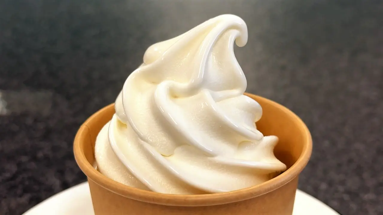アツアツからのひんや～りがたまらない!!富山名物もつ煮込みうどん【糸庄】のシメは濃厚ミルクの「本気のソフト」