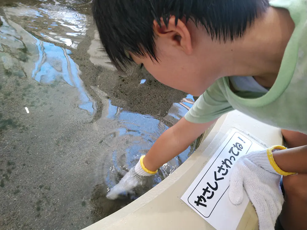 ゆうた
栽培漁業は、あまりわからなかったけど、このジョブキッズをやって分かりました。それと、魚はさわれるようになりたいです。

