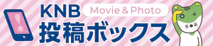KNB投稿BOX