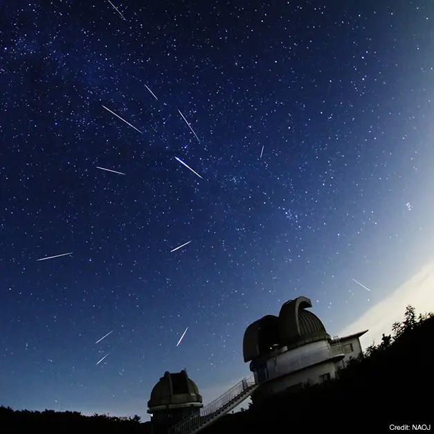2026年は好条件【ペルセウス座流星群】ピーク時には1時間に最大30の流れ星が!? いつ・どっちを見ればいい？科学博物館学芸員が解説