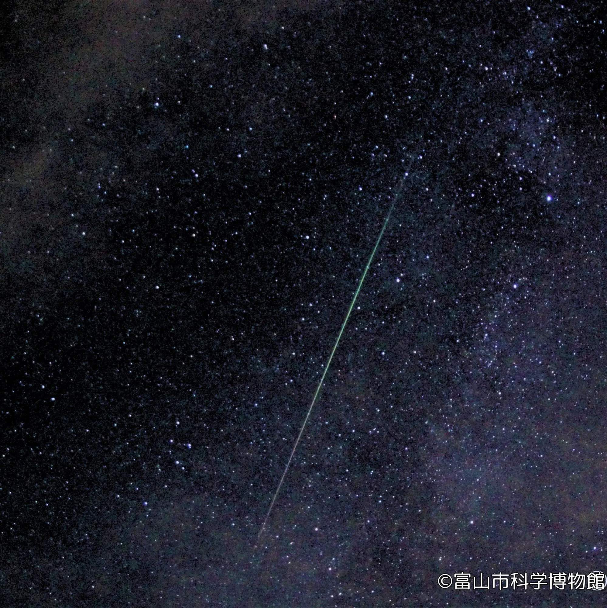 いつ・どっちを見ればいい？ペルセウス座流星群【1日で終わる自由研究】2024年のピークは8月12日の夜23時！観察のポイントを科学博物館学芸員が解説
