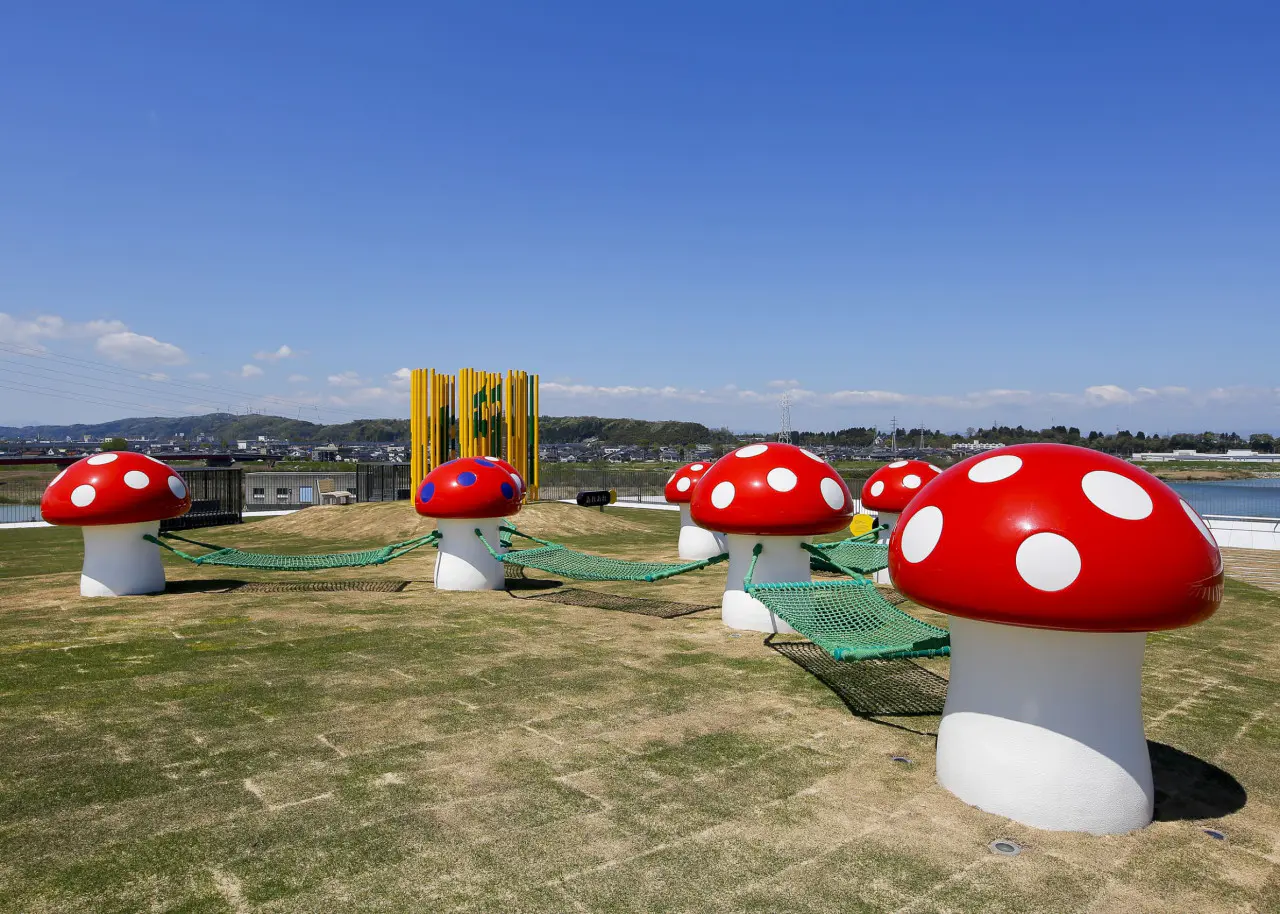 【2024夏休み 富山おでかけ】美術館に大道芸人が大集合!! 360度の夜景も【富山県美術館】