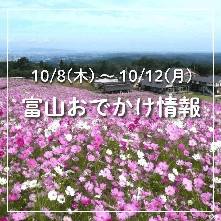 【10/8-12 富山おでかけ】3連休はイベント満載！グルメ・アート・スポーツを楽しもう！砺波のコスモス・室堂の紅葉も見ごろ