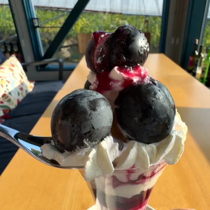 完熟ぶどうをスイーツやピザで堪能【2026やまふじぶどう園／ホーライサンワイナリー】仏ワインコンクール最優秀賞ワインも