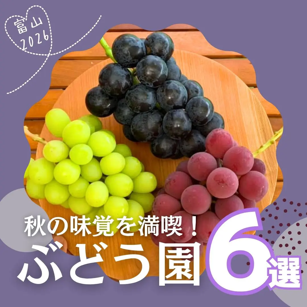 秋の味覚を満喫！ 富山のぶどう園へ行こう！【2026ぶどう農園まとめ】総勢約50名に当たるプレゼントも！