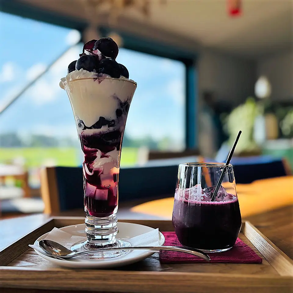 北海道紅葉樹セット　白樺　ミズナラ　山葡萄　他 富山のぶどう園2025】北陸で最も歴史あるぶどう園【やまふじぶどう園