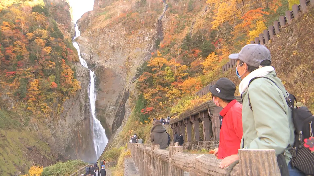 富山の紅葉2025【称名滝｜立山黒部アルペンルート】高低差350mの大絶景