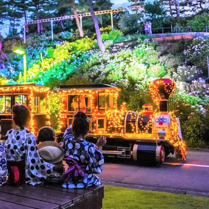 やまの花まつり まるで虹色のじゅうたん🌸 富士本栖湖リゾートに壮大なお花畑が