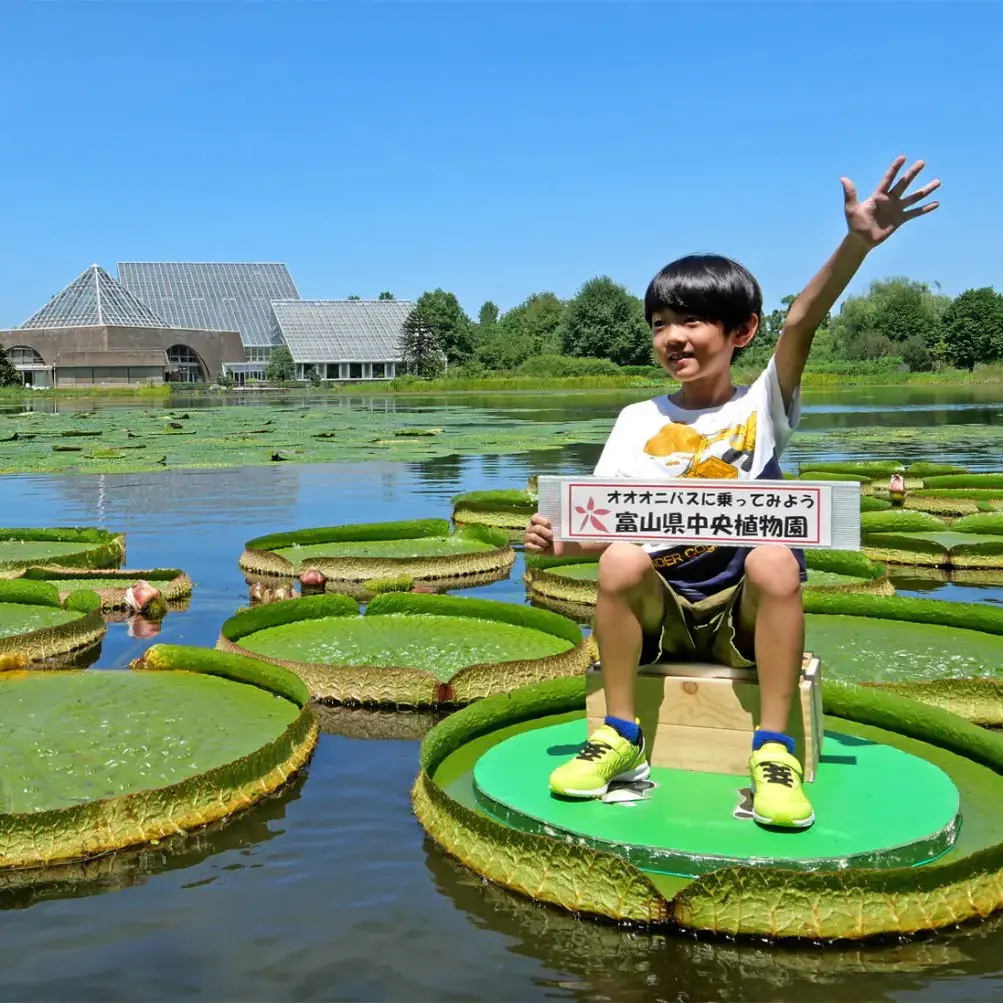 2025夏おでかけ｜富山県中央植物園】30kgの子供なら池の葉っぱで