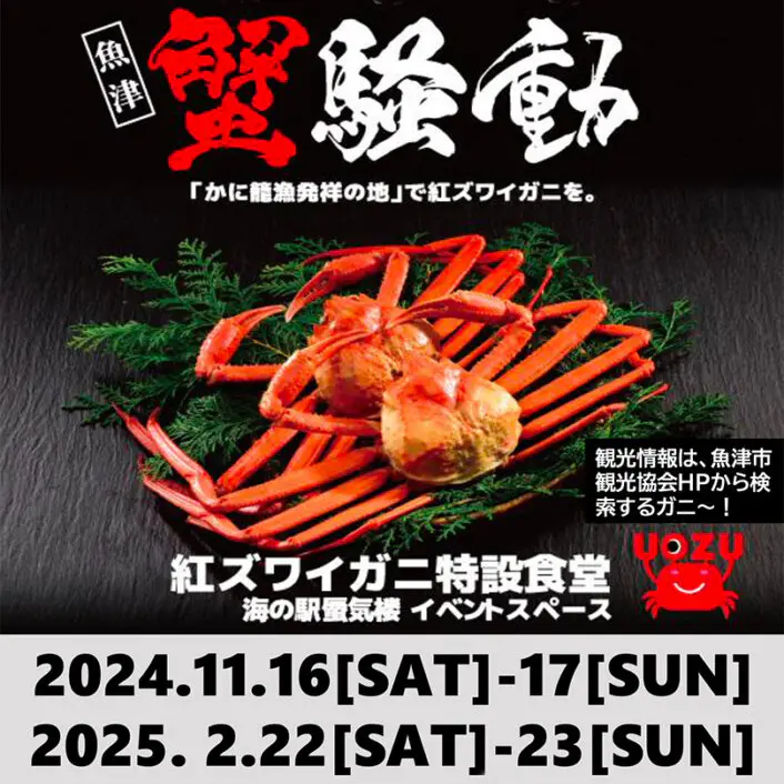 新品 匿名 spindleshanks crab カニ 新品 匿名 spindleshanks crab