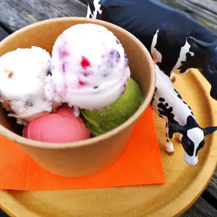 冬の牧場で楽しむジェラート食べ放題