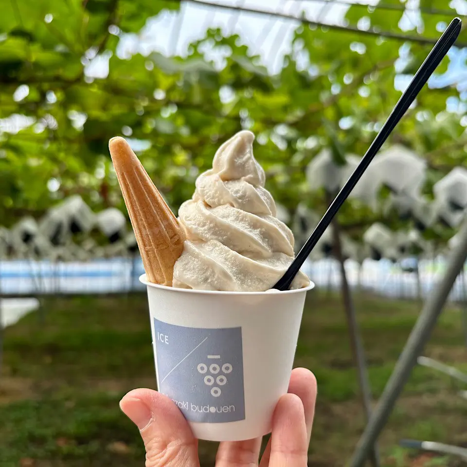 富山のぶどう園2025】つみたて極上シャインマスカットのアイスや無添加