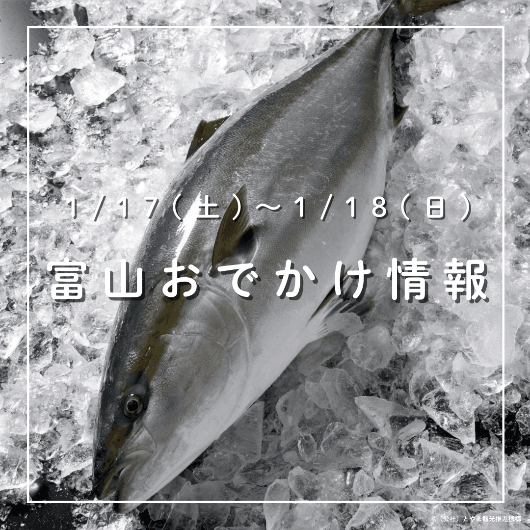 富山の週末キャンプファイヤー案内