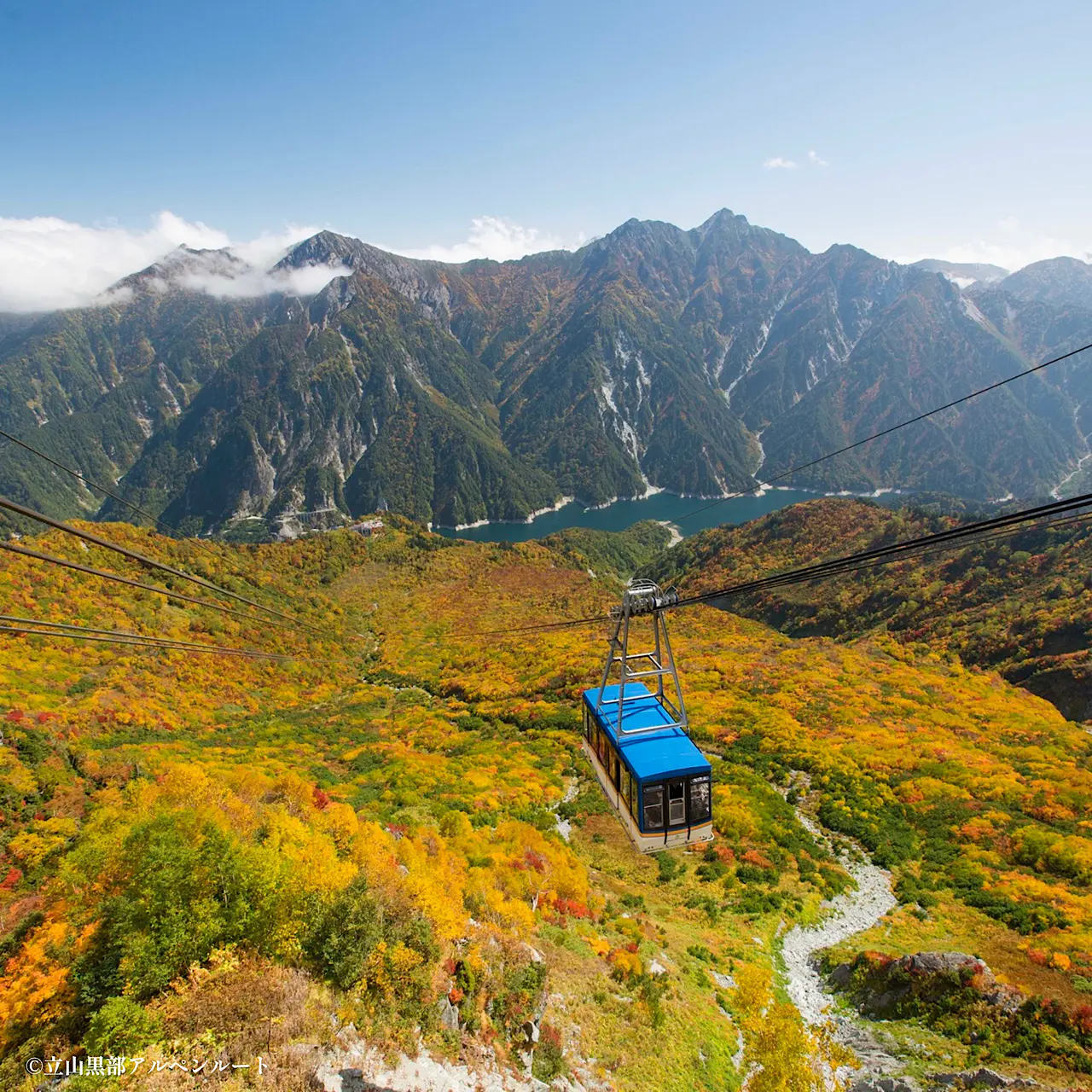 360°の絶景！ロープウェイから紅葉と黒部ダムを一望 【立山黒部アルペンルート・大観峰～黒部平】富山の紅葉2026