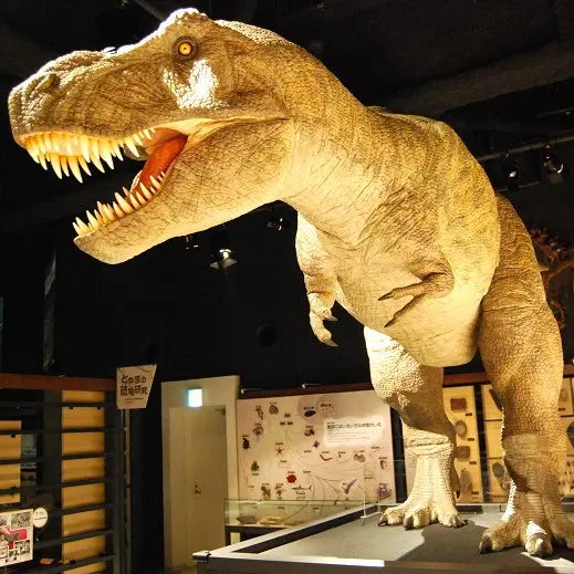 自由研究のミカタ！【富山市科学博物館】夏のワクワク体験＆ペルセウス座流星群の観察ポイントも｜2026富山おでかけ