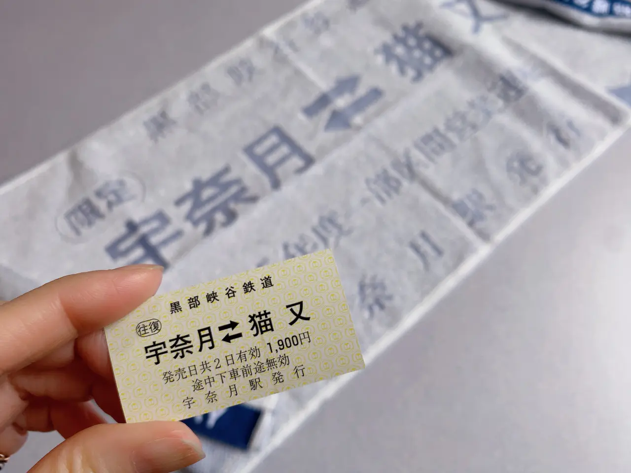 うちの猫も名誉助役に!! 全国で唯一“猫”がつく「猫又駅」へ