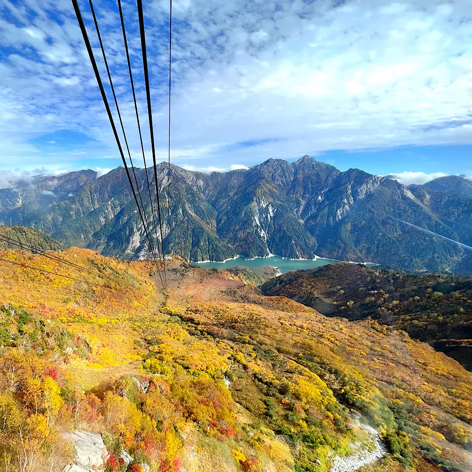 富山の紅葉2025【大観峰・黒部平｜立山黒部アルペンルート】ロープウェイから一望 360°紅葉のじゅうたん広がる“タンボ平”