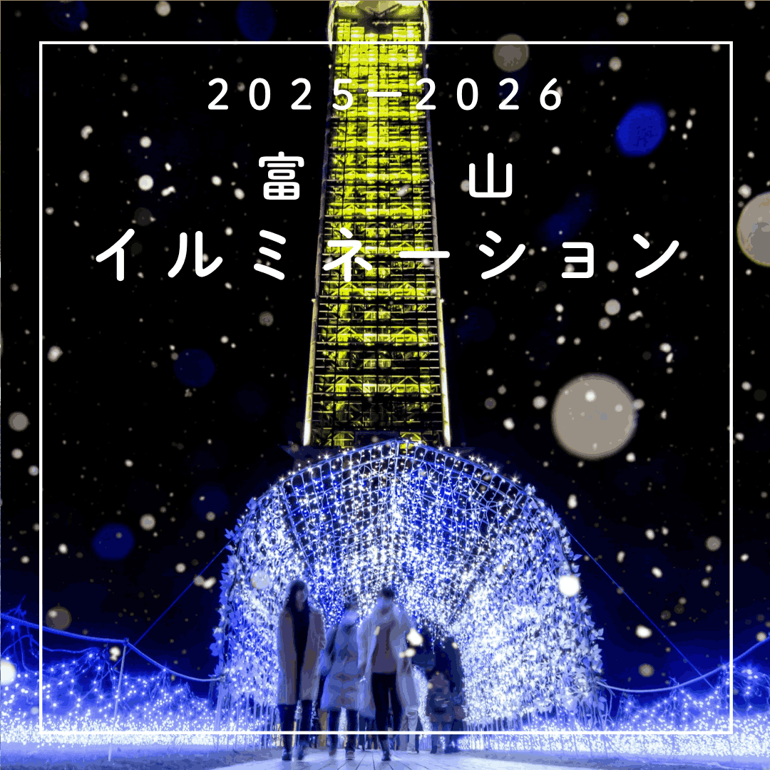 国重文 岩瀬家・行徳寺 イルミネーション