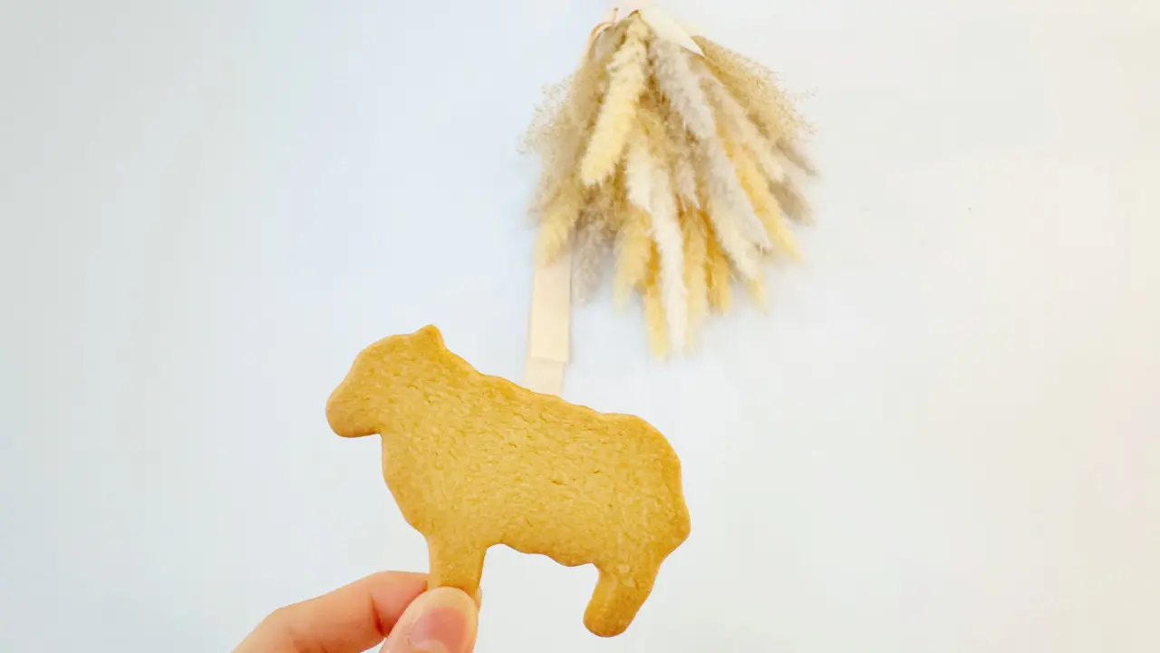 週2日だけ開く、隠れ家みたいな焼き菓子屋さん【高木焼菓子製作所】ほろっとやさしい手作りの味