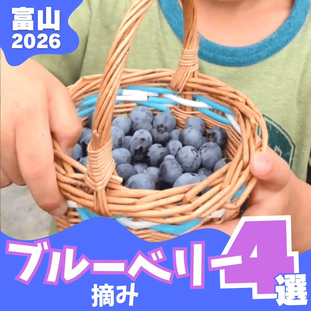 【2026富山ブルーベリー狩り4選】完熟ブルーベリーが食べ放題！アイスやジュース、スイーツでも堪能！